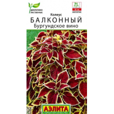 Колеус балконный Бургундское вино, 5 семян (Аэлита)
