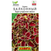 Колеус балконный Бургундское вино, 5 семян (Аэлита)