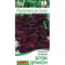 Колеус блюме Блэк дракон, 5 семян (PanAmerican Seed - Аэлита)