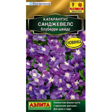 Катарантус Санджевелс блуберри шейдс, 7 семян (floranova - Аэлита)
