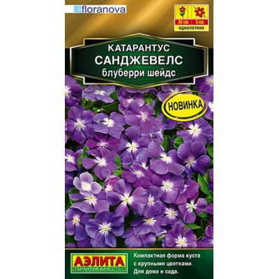 Катарантус Санджевелс блуберри шейдс, 7 семян (floranova - Аэлита)