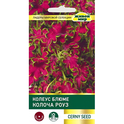 Колеус блюме Колоча Роуз, 10 семян (Cerny seed, Чехия)