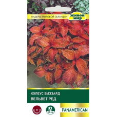 Koлeyc Bиззapд Beльвeт Рeд, 10 семян (PanAmerican Seed, СШA)