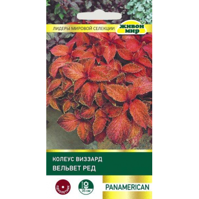 Koлeyc Bиззapд Beльвeт Рeд, 10 семян (PanAmerican Seed, СШA)