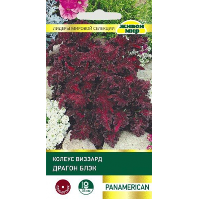 Koлeyc Bиззapд Драгон Блэк, 10 семян (PanAmerican Seed, СШA)