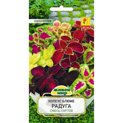 Колеус блюме Радуга, 10 семян (W. Legutko, Польша)