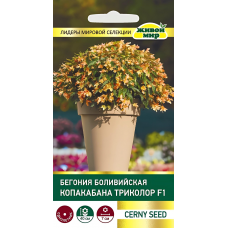 Бегония боливийская Копакабана Триколор F1, 5 семян (Cerny seed, Чехия)