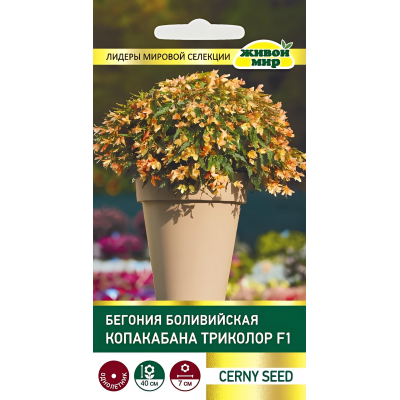 Бегония боливийская Копакабана Триколор F1, 5 семян (Cerny seed, Чехия)