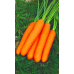 Морковь РАХАТ-ЛУКУМ, 1г (Авторская селекция - Уральский Дачник)