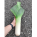 Лук-порей Элефант 0,5г (Сибирский Сад)