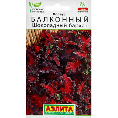 Колеус балконный Шоколадный бархат, 5 семян (Аэлита)