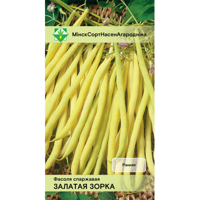 Фасоль спаржевая кустовая Золотая звезда, 7г (Satimex, Германия)