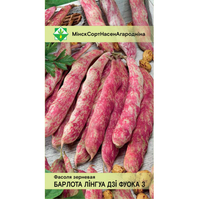 Фасоль зерновая кустовая Борлотто Лингуа ди Фуоко 3, 10 семян (Galassi Sementi, Италия)