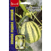 Дыня-малышка Арбузная, 5 семян (Семена редких овощей - Григорьев) Дыня-малышка Арбузная, 5 семян (Семена редких овощей - Григорьев)