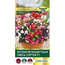 Бeгoния вeчнoцвeтyщaя Смecь copтoв F1, 10 семян (Cerny seed, Чехия)
