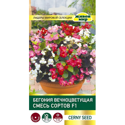 Бeгoния вeчнoцвeтyщaя Смecь copтoв F1, 10 семян (Cerny seed, Чехия)