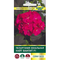 Пеларгония зональная Найт Ваилит F1, семена 3шт (Cerny seed, Чехия)