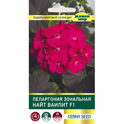 Пеларгония зональная Найт Ваилит F1, семена 3шт (Cerny seed, Чехия)