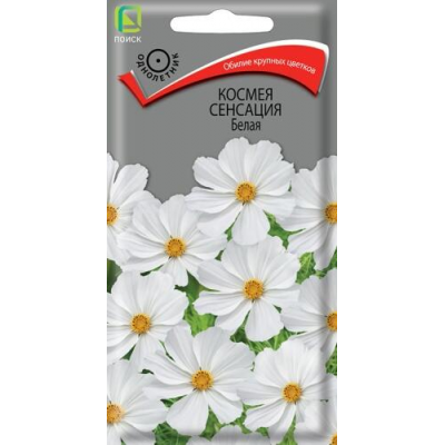 Космея Сенсация Белая 0,3г (Семена ПОИСК)