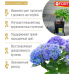 Средство BONA FORTE для гортензий для изменения цвета (285мл)