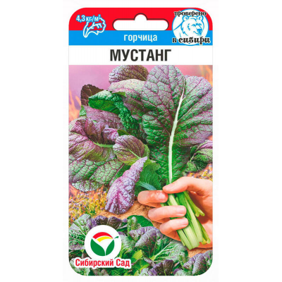 Горчица салатная Мустанг 0,5г (Сибирский Сад)