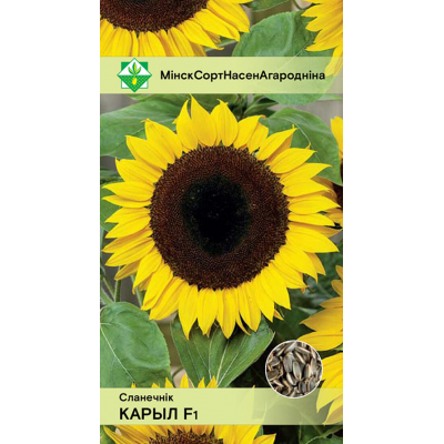 Подсолнечник на семечки Корил F1, 5г (W. Legutko, Польша)