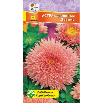 Астра срезочная Принцесса Давина лососево-розовая 0,3г (Satimex, Германия)