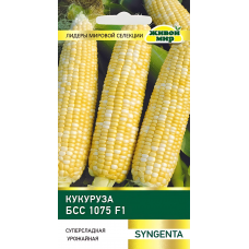 Kyкypyзa сахарная БСС1075 F1, 15г (Syngenta, Нидерланды)