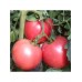 Томат ультраранний Розовая луна F1, 5 семян (Sativa, Италия)