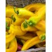 Перец слабоострый Молния золотая® F1 0,05г (СеДеК)