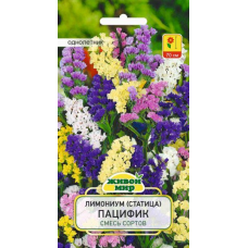 Лимониум (статица) Пацифик смесь сортов 0,1г (W. Legutko, Польша)