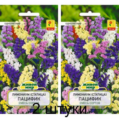 Лимониум (статица) Пацифик смесь сортов 0,1г (W. Legutko, Польша) -2шт