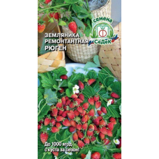 Земляника ремонтантная Рюген 0,04г (СеДеК)