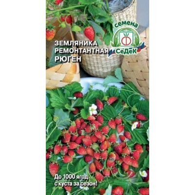 Земляника ремонтантная Рюген 0,04г (СеДеК)