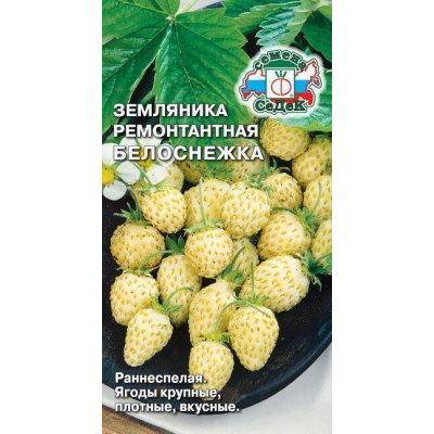 Земляника ремонтантная Белоснежка 0,04г (СеДеК)