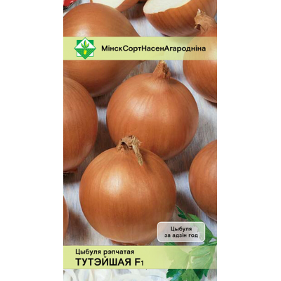 Лук белорусской селекции Тутэйшы F1* 0,5г (Институт овощеводства НАН)