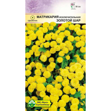 Матрикария исключительная Золотой шар
