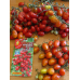 Томат-черри гроздевой Красные бусы, 20 семян (Аэлита)