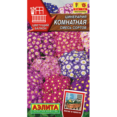 Цинерария Комнатная смесь сортов, 30 семян (серия Цветущий балкон - Аэлита)