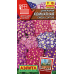 Цинерария Комнатная смесь сортов, 30 семян (серия Цветущий балкон - Аэлита) Цинерария Комнатная смесь сортов, 30 семян (серия Цветущий балкон - Аэлита)