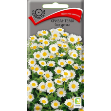 Хризантема Снегурочка, 30 семян (Семена ПОИСК)