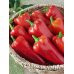 Семена перца острого Чегевара, 0,1 г