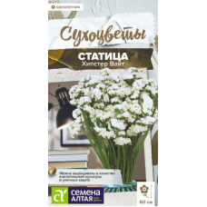 Статица Хипстер Вайт, 5 семян (серия Сухоцветы - Семена Алтая)