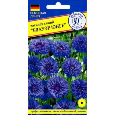 Василек срезочный Блаур Юнге, 30 семян (Голландская Линия - Престиж)