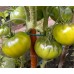 Томат зеленоплодный салатный  Восьмое чудо света, 20 семян (Аэлита)