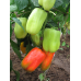 Перец сладкий штамбовый Изабелла F1, 10 семян (селекция Аэлита)