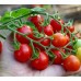Томат-черри кистевой Чурчхела-Барби F1, 10 семян (Семторг, Аэлита)