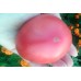 Томат Брендивайн розовый (Brendywine Pink), 20 семян (серия Мировая коллекция - Аэлита)