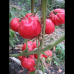 Томат Брендивайн розовый (Brendywine Pink), 20 семян (серия Мировая коллекция - Аэлита)