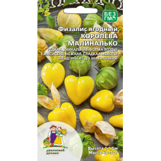 Физалис ягодный КОРОЛЕВА МАЛИНАЛЬКО, 12 семян (Уральский Дачник)